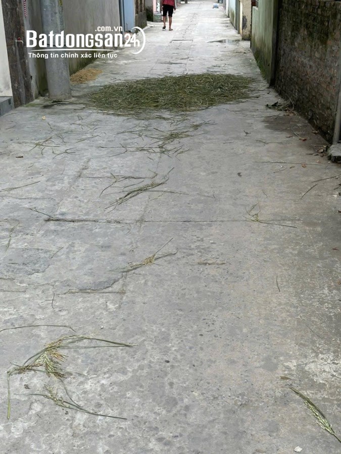 Bán đất Hưng Hiền Xã Hiền Giang, Huyện Thường Tín, 91m2, 4,x tỷ