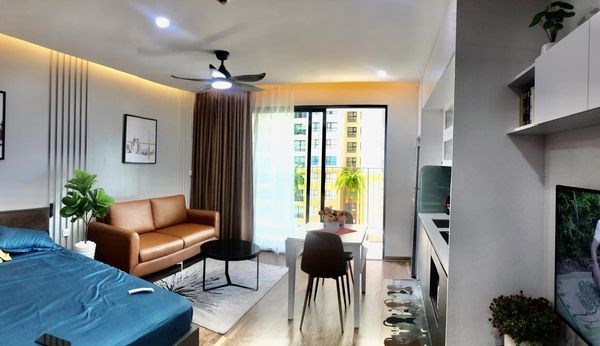 Cho thuê căn hộ studio tòa C2 Vinhomes D''Capitale, giá 13tr/th đủ đồ, Quận Cầu Giấy