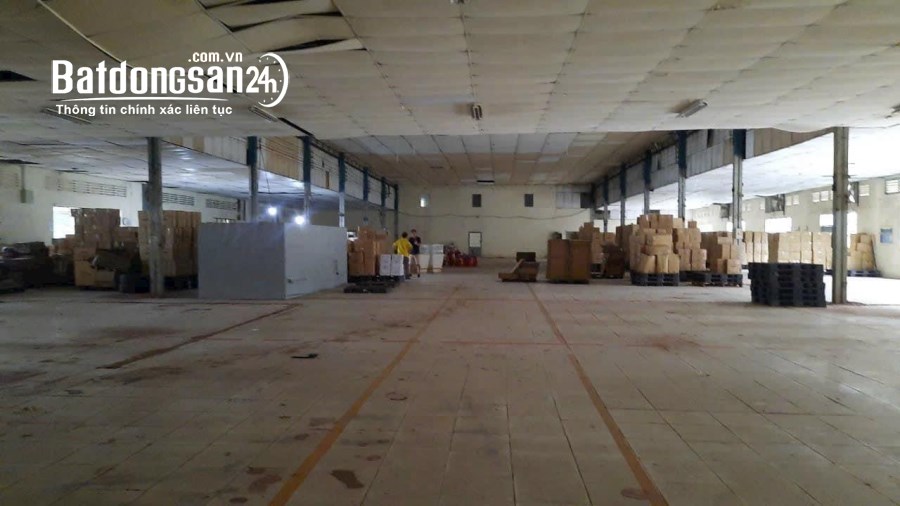 Cho thuê đất riêng, kho xưởng Đường Quốc lộ 1A, Phường An Phú Đông, Quận 12