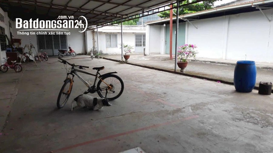 Cho thuê đất riêng, kho xưởng Đường Quốc lộ 1A, Phường An Phú Đông, Quận 12