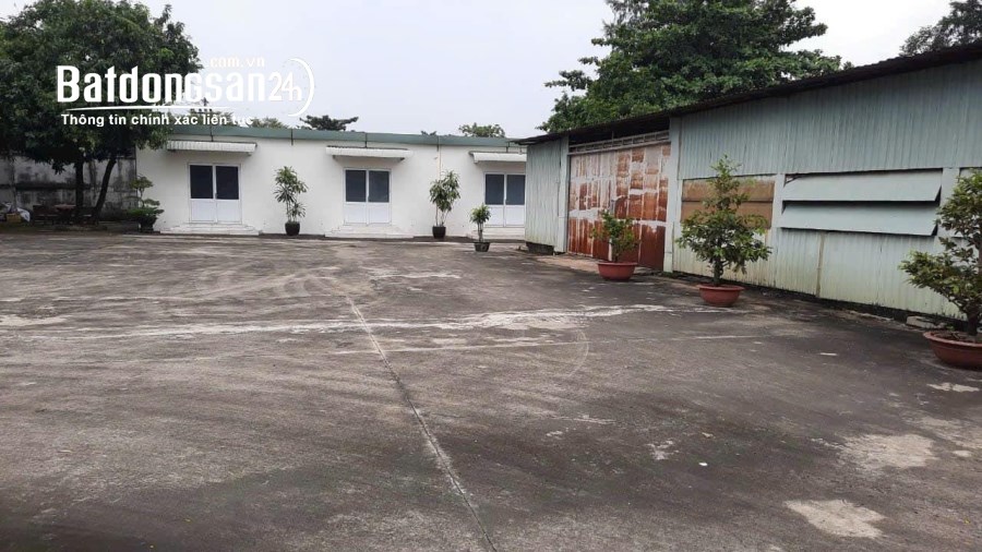 Cho thuê đất riêng, kho xưởng Đường Quốc lộ 1A, Phường An Phú Đông, Quận 12
