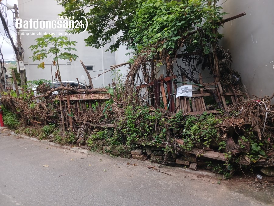 Bán đất Nguyễn Văn Linh, Phúc Đồng, L.Biên, 49m2 ~ 4,3 tỷ, Quận Long Biên