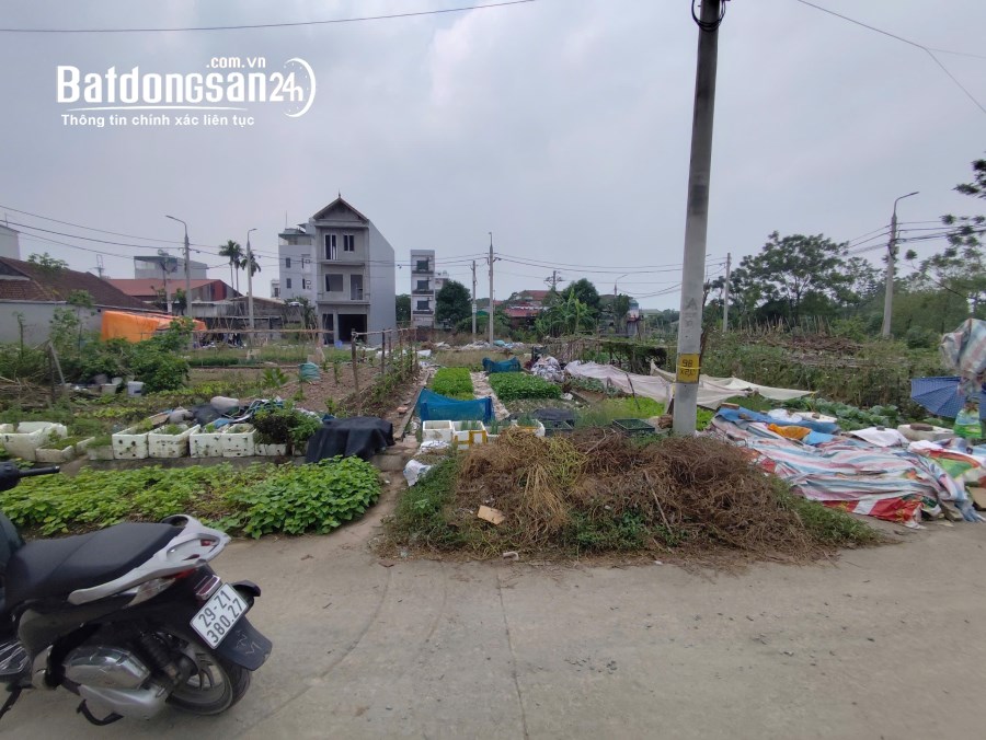 ⚡️ĐẤT ĐẤU GIÁ X1 LẠI YÊN 54M2 GIÁ TÀU NHANH⚡, Xã Lại Yên, Huyện Hoài Đức