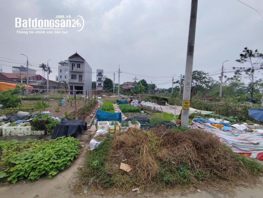 ⚡️ĐẤT ĐẤU GIÁ X1 LẠI YÊN 54M2 GIÁ TÀU NHANH⚡, Xã Lại Yên, Huyện Hoài Đức