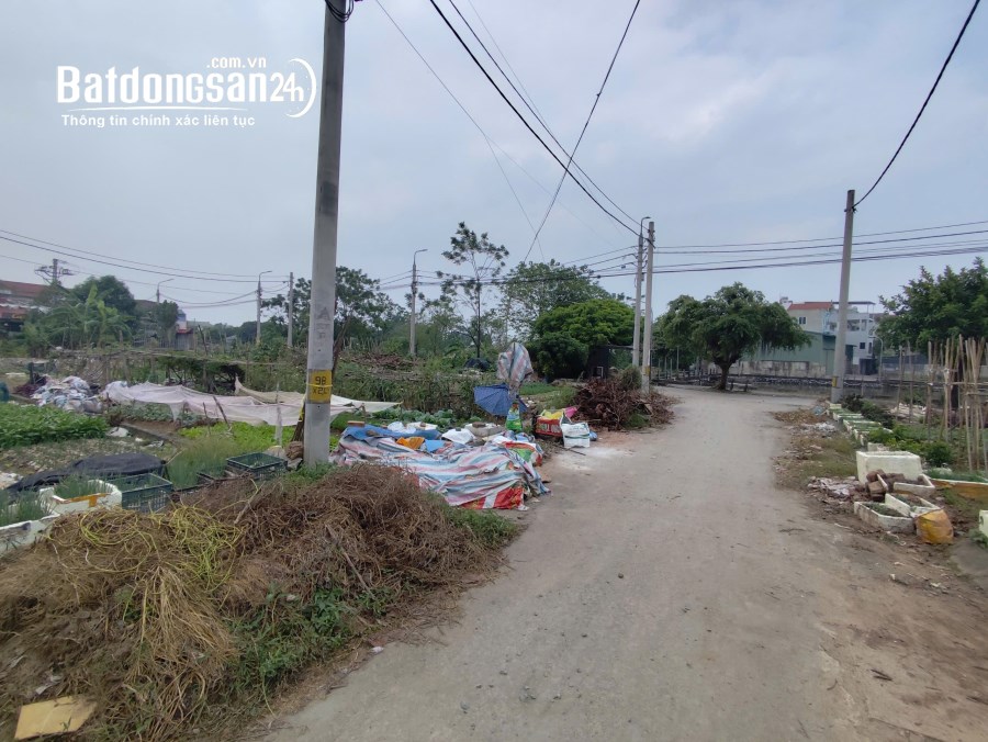 ⚡️ĐẤT ĐẤU GIÁ X1 LẠI YÊN 54M2 GIÁ TÀU NHANH⚡, Xã Lại Yên, Huyện Hoài Đức
