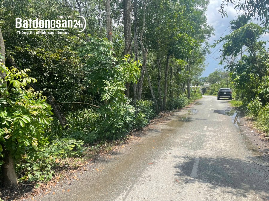 Bán đất vườn Long Phước, 363 tỷ với diện tích 33.000m2., TP Thủ Đức (Quận 9)