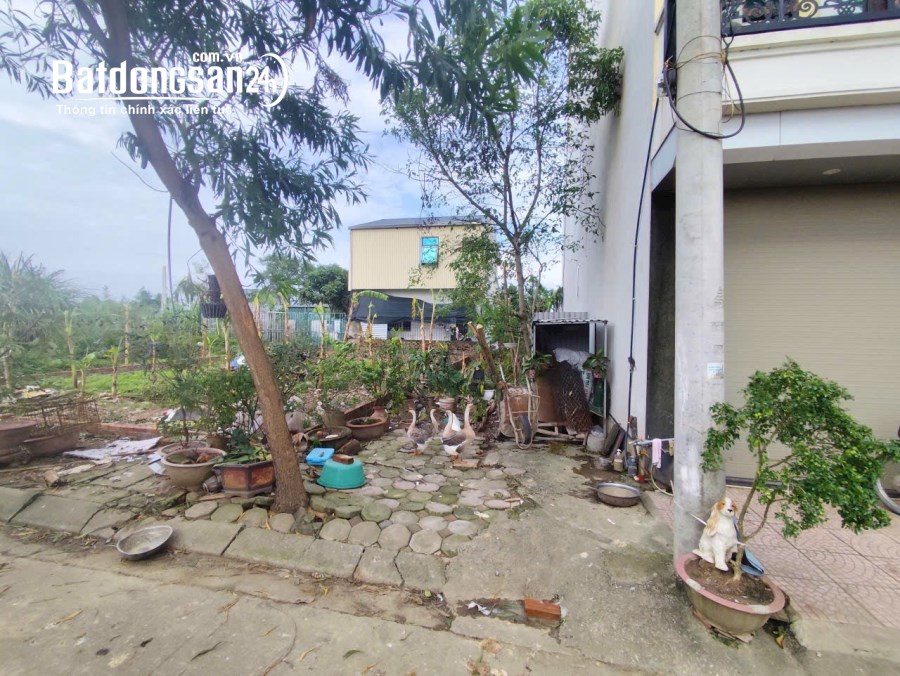 BÁN ĐẤT DỊCH VỤ LẠI YÊN 63,3M2 GIÁ TỐT