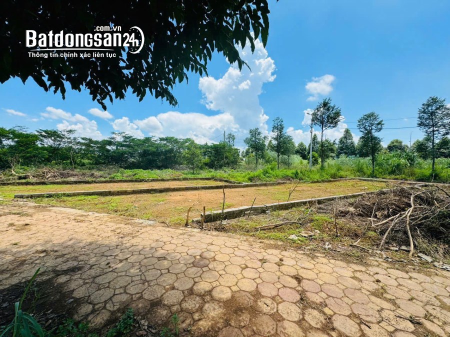 Bán đất Đường Quốc lộ 21A, Xã Thạch Hòa, Thạch Thất, 100m2 TĐ cư
