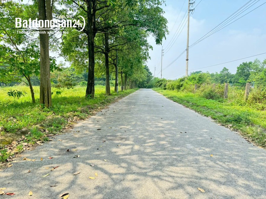 Bán nhà xây thô, sổ đỏ sang tên ngay KDT Hà Phong, Tiền Phong, Mê Linh, HN. 304m, giá