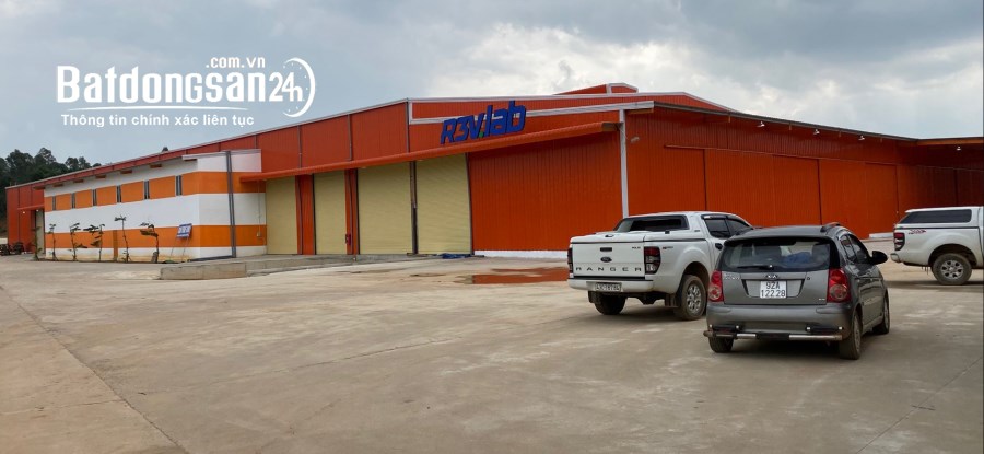 Cho thuê đất riêng, kho xưởng Đường Quốc Lộ 1A, Phường Hòa Phát, Quận Cẩm Lệ