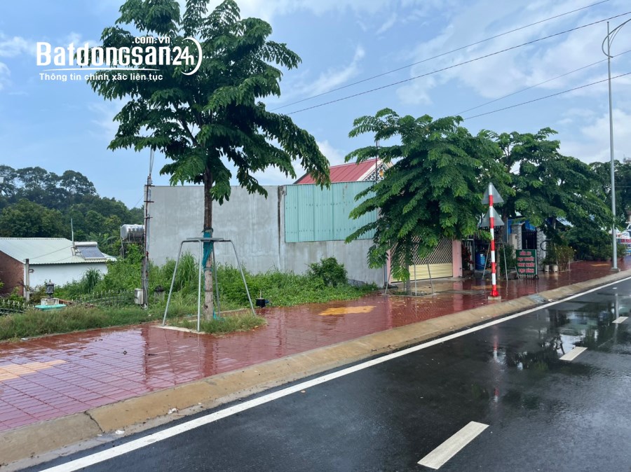 Bán đất Đường Lê Chí Dân, Phường Tân An, Thủ Dầu Một