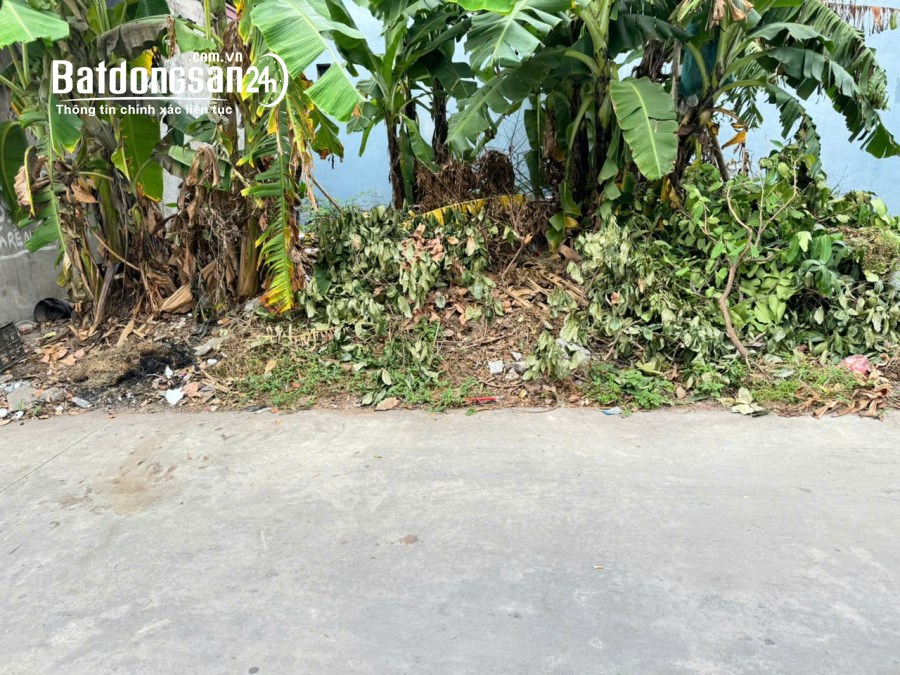 Bán đất Đường 23, Thị trấn Quang Minh, Huyện Mê Linh