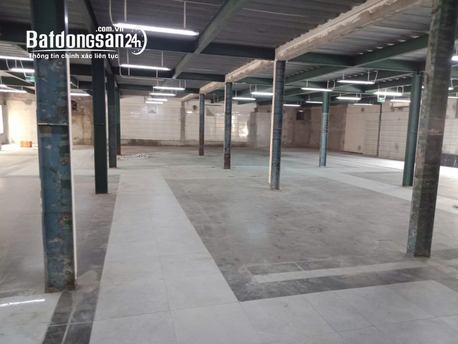 Mặt bằng 550 - 1000m2. Thuê mọi mô hình ở Tôn Đức Thắng