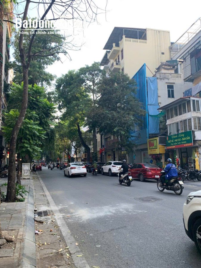 Bán mặt phố Ngô Thì Nhậm, Hai Bà Trưng, 230m x MT 8m, Ô tô, KD các loại hình