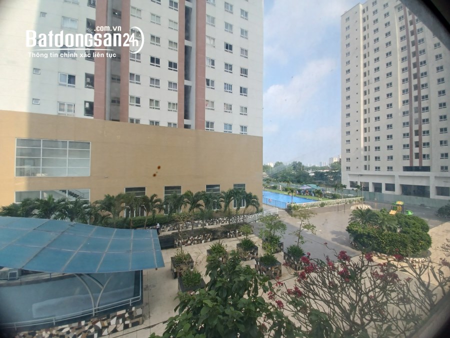 Cho thuê văn phòng 600m2 giá siêu rẻ Topaz City, Đường Cao Lỗ, Quận 8