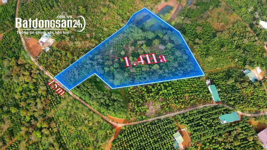 Đất rẫy gần sát QL14 xã Đắk Wer giá rẻ bất ngờ, đất bằng, có hồ lớn tại Đắk Nông