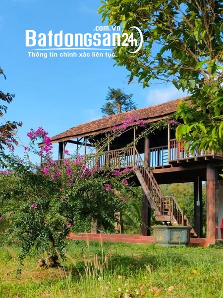 Cho thuê homestay thác suối đá gần Quốc lộ 14, Xã Đắk R'Moan, TP Gia Nghĩa