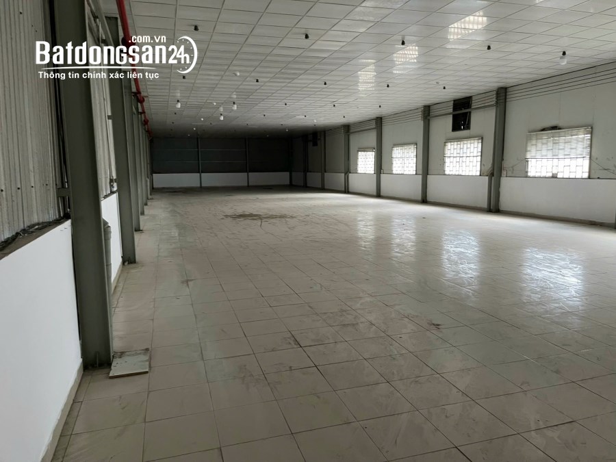 Bán kho-xưởng Đường Hương Lộ 2, Phường Bình Trị Đông A, Quận Bình Tân