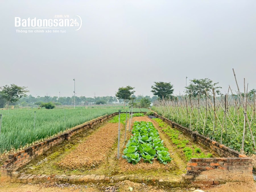 Bán đất Khu đô thị Hà Phong, Đường 23, Huyện Mê Linh