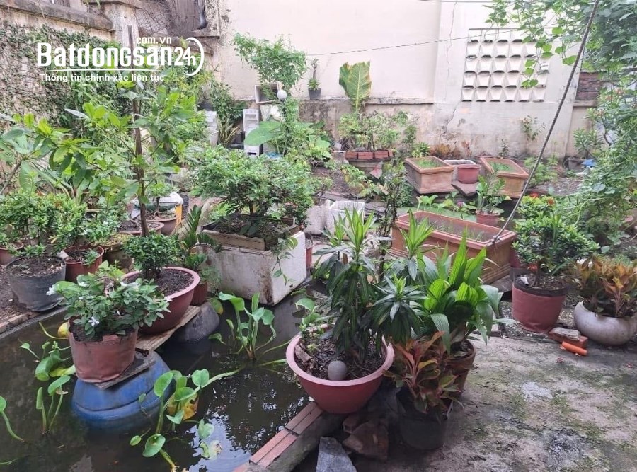 Bán nhà Đường Trần Quang Khải, Phường Hiệp Phú, TP Thủ Đức (Quận 9)