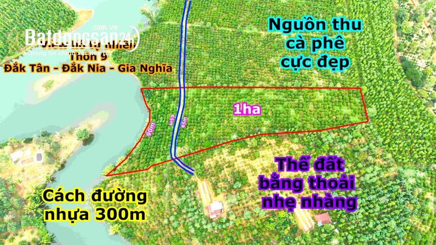 Bán đất thôn Đắk Tân xã Đắk Nia gần Quốc lộ 28, TP Gia Nghĩa