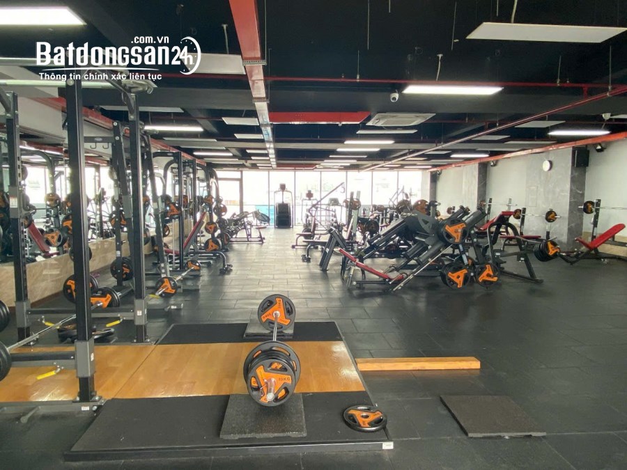 Bán Toà Nhà 102 Lý Phục Man,Quận 7 dt 12x32m,hầm 6 tầng