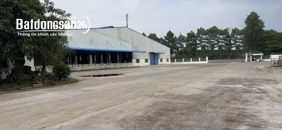Cho thuê kho-xưởng KCN Nhơn Trạch, Xã Long Thọ, Huyện Nhơn Trạch
