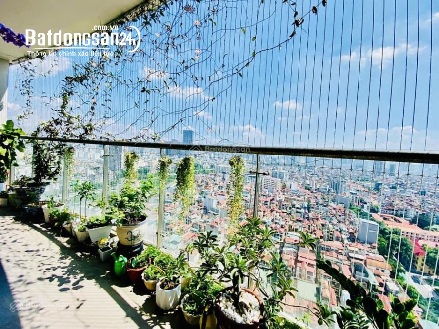 Cho thuê căn hộ Tràng An Complex, Phố Phùng Chí Kiên, Quận Cầu Giấy