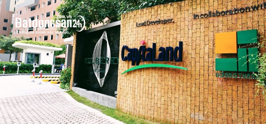 Bán căn hộ Mulberry Lane, Đường Mỗ Lao, Quận Hà Đông