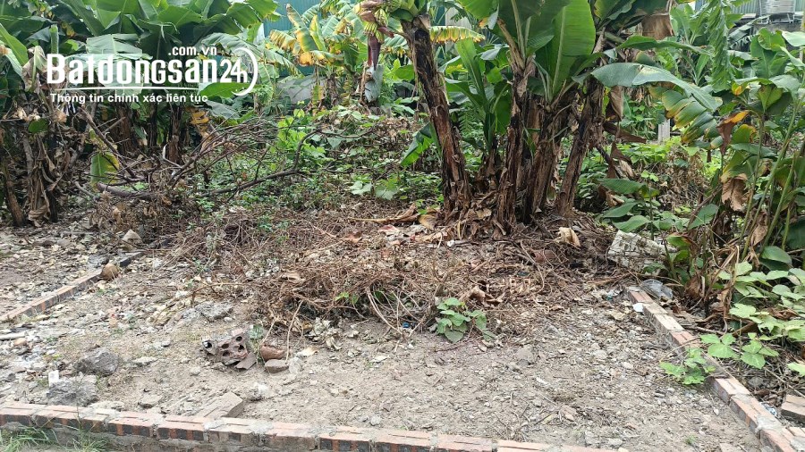 Bán đất Đường 23B, Xã Võng La, Huyện Đông Anh