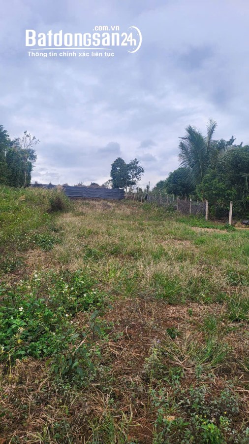 Bán đất 11x65 thổ cư 270m tại thôn 6, Hoà Khánh đường QH 20m thông về Ea Kao