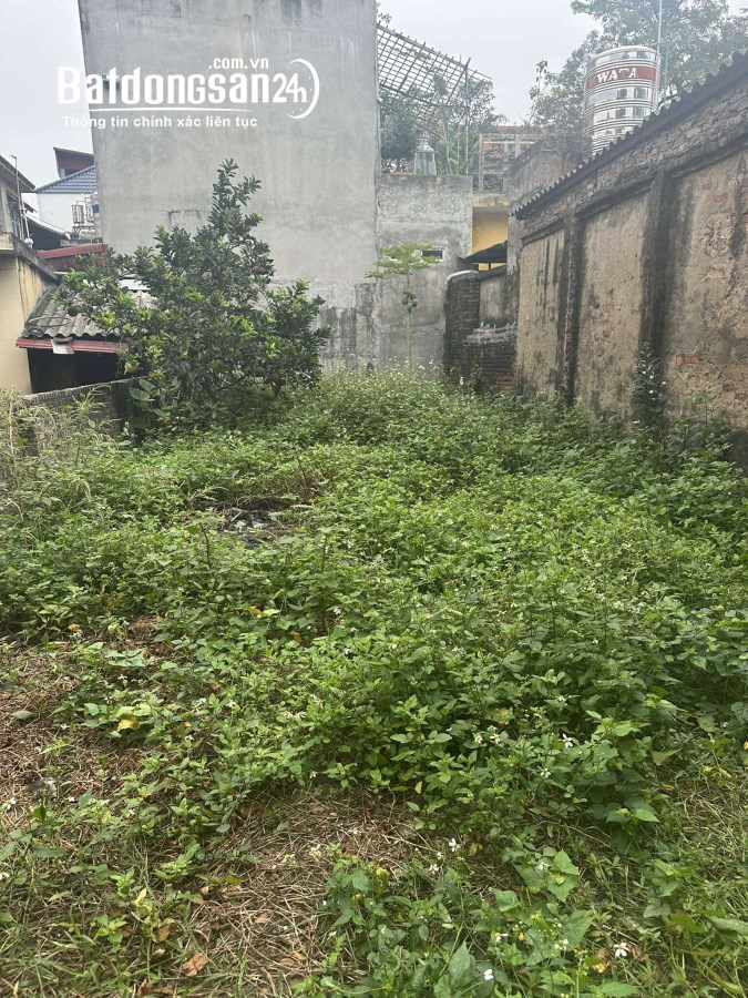 Bán đất Đường Dương Quang, Xã Dương Quang, Huyện Gia Lâm