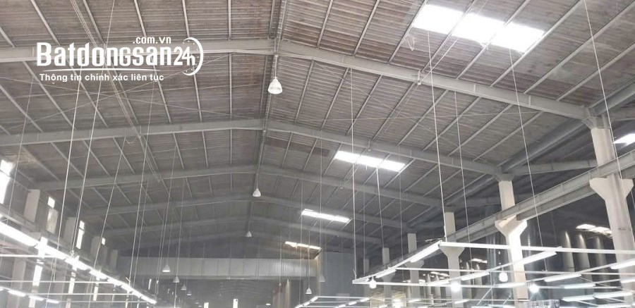 Cho thuê kho-xưởng KCN Thủ Dầu 1, Phường Phú Tân, Thủ Dầu Một