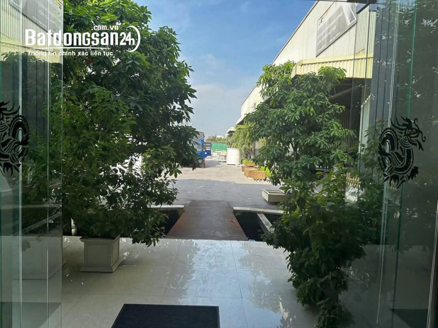 Cho thuê kho-xưởng KCN Thủ Dầu 1, Phường Phú Tân, Thủ Dầu Một