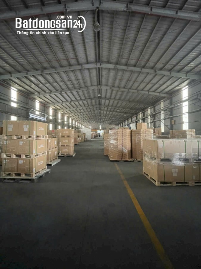 Cho thuê kho-xưởng KCN Thủ Dầu 1, Phường Phú Tân, Thủ Dầu Một