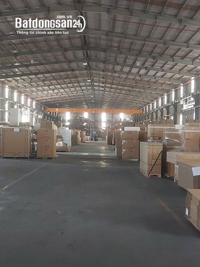 Cho thuê kho-xưởng KCN Thủ Dầu 1, Phường Phú Tân, Thủ Dầu Một
