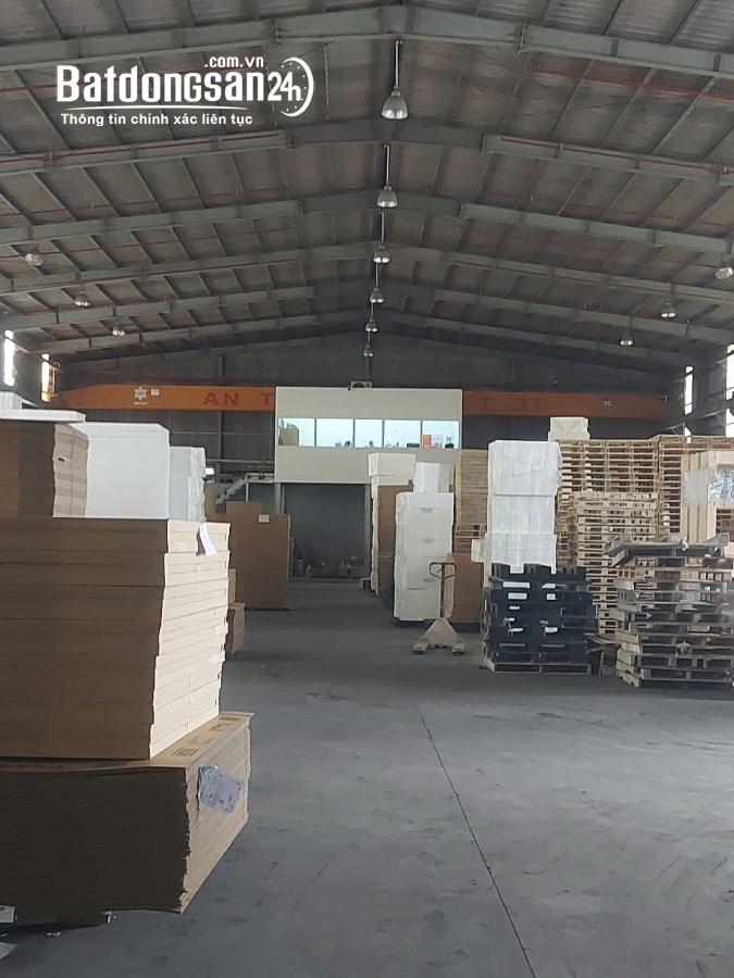 Cho thuê kho-xưởng KCN Thủ Dầu 1, Phường Phú Tân, Thủ Dầu Một