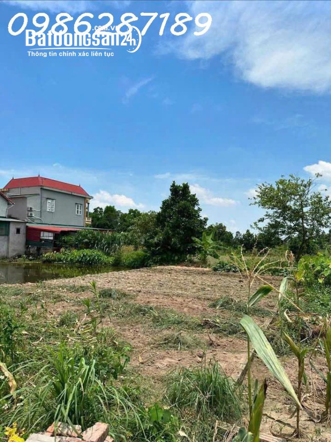 Bán đất Đường Tỉnh lộ 285, Xã Trừng Xá, Huyện Lương Tài