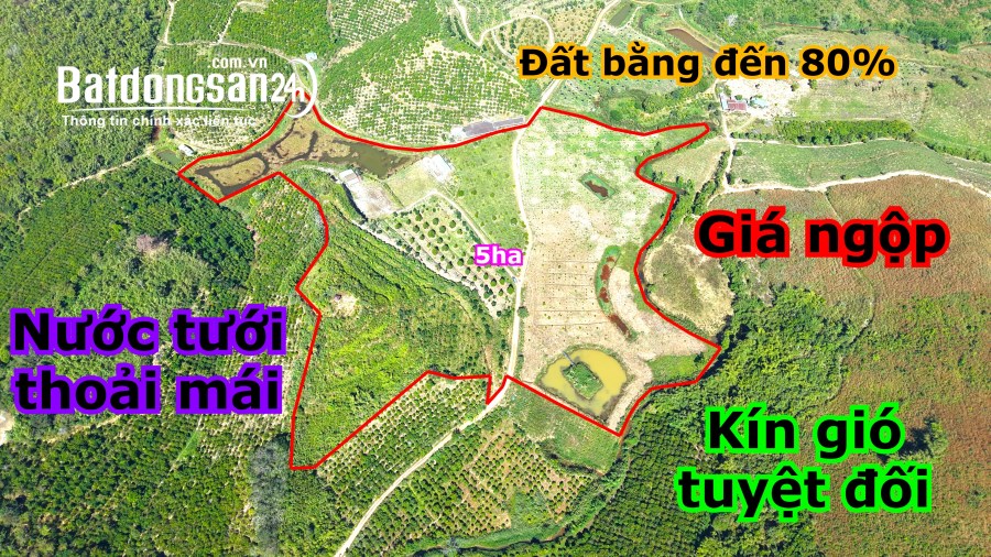 Rẫy ngộp diện tích lớn,bằng 80% tại khu công nghệ cao Tp.Gia Nghĩa tỉnh Đắk Nông