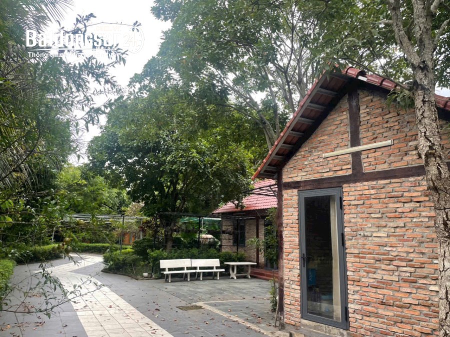 Chủ định cư Châu Âu hạ giá bán gấp Nhà vườn Bình Chánh 2000m2, 15 tỷ