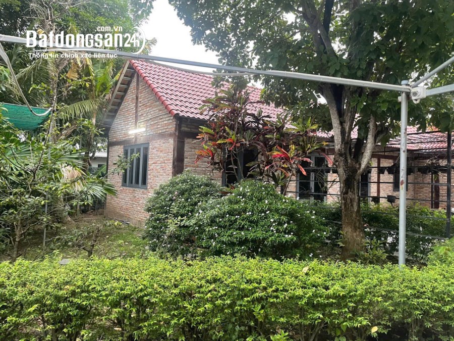 Chủ định cư Châu Âu hạ giá bán gấp Nhà vườn Bình Chánh 2000m2, 15 tỷ