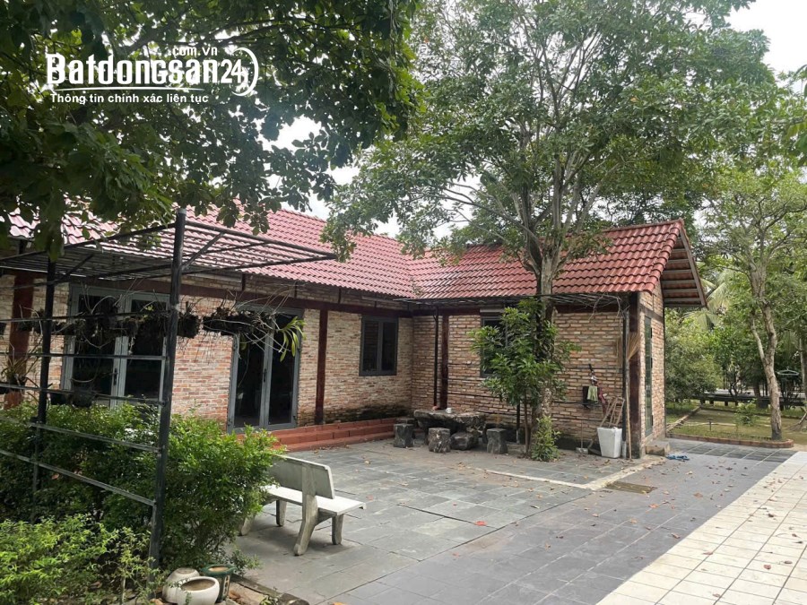 Bán đất Đường Lương Ngang, Xã Tân Nhựt, Huyện Bình Chánh