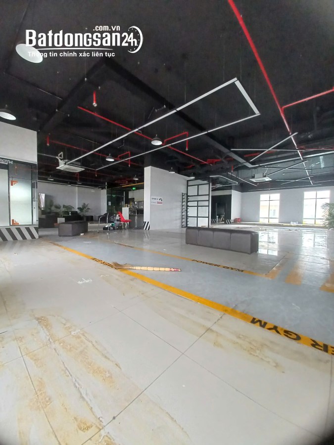 Cho thuê văn phòng 40m2 Topaz City, Đường Cao Lỗ, Quận 8 (FULL NỘI THẤT) 