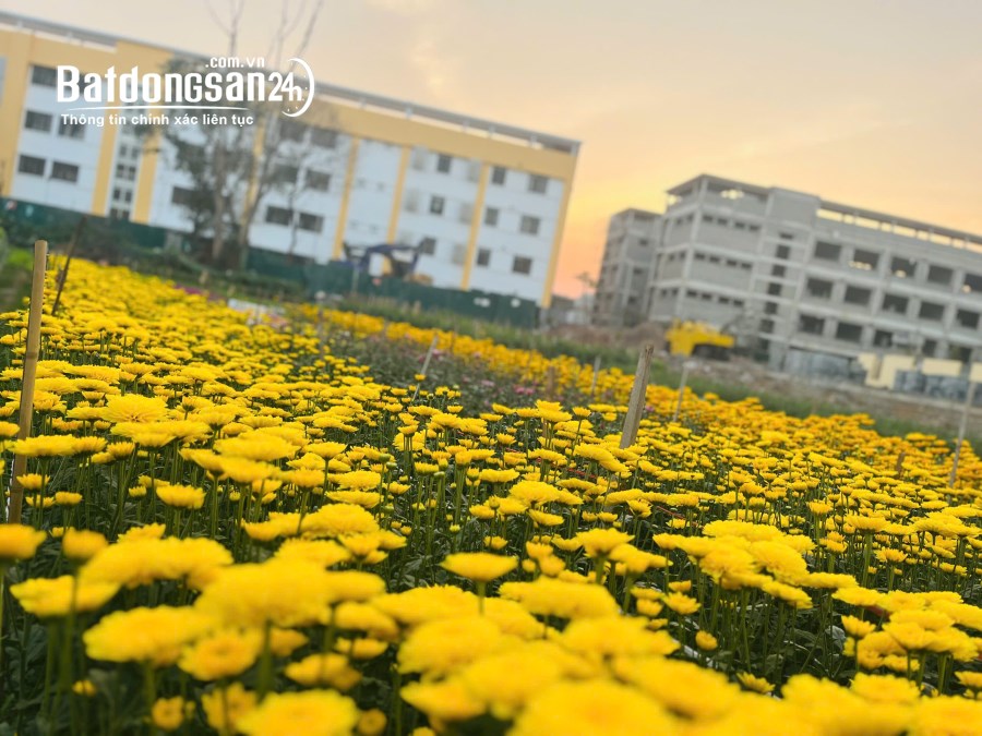 Bán đất mặt tiền KĐT Đại Kim-Định Công, Đường Đại Kim, Quận Hoàng Mai