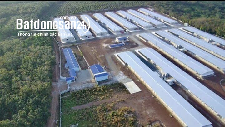 Cho thuê kho-xưởng KCN Phú Mỹ, TX Phú Mỹ