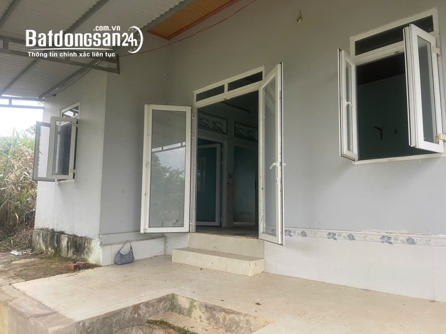 Đất rẫy trung tâm thành phố Gia Nghĩa rẻ như cho