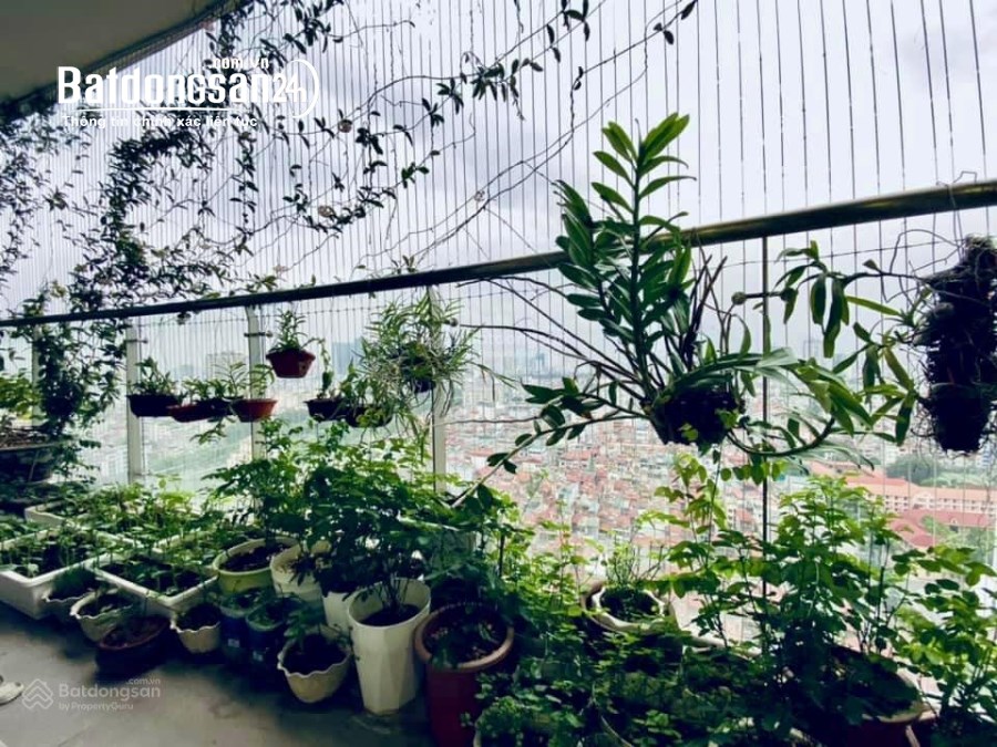 Bán căn hộ Tràng An Complex, Phố Phùng Chí Kiên, Quận Cầu Giấy, 98m2 chỉ 7,85 tỷ