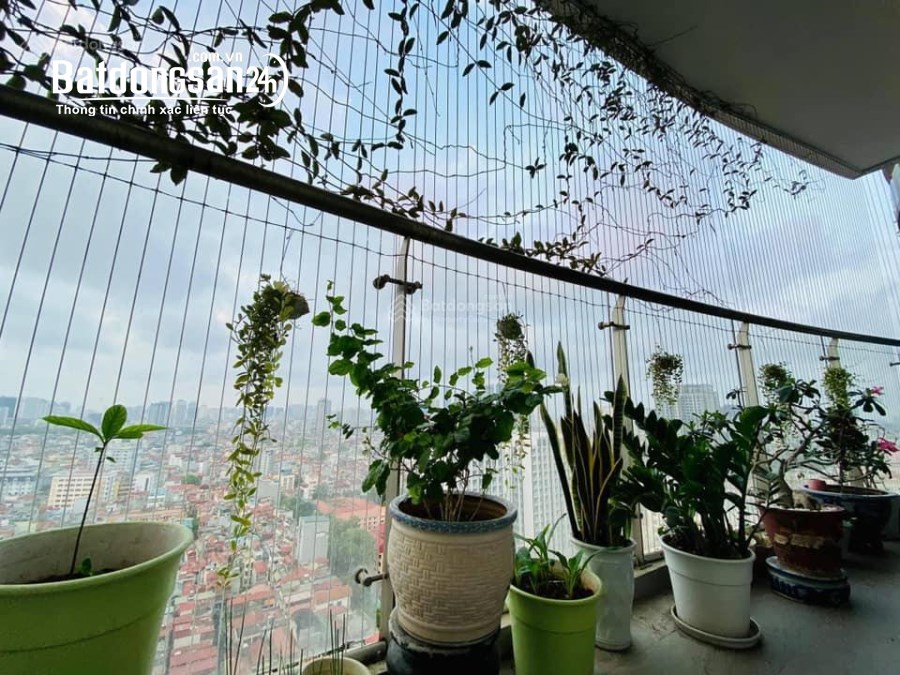 Bán căn hộ Tràng An Complex, Phố Phùng Chí Kiên, Quận Cầu Giấy, 98m2 chỉ 7,85 tỷ