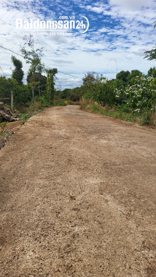 Bán đất Xã Dray Sáp, Huyện Krông Ana, Đăk Lăk