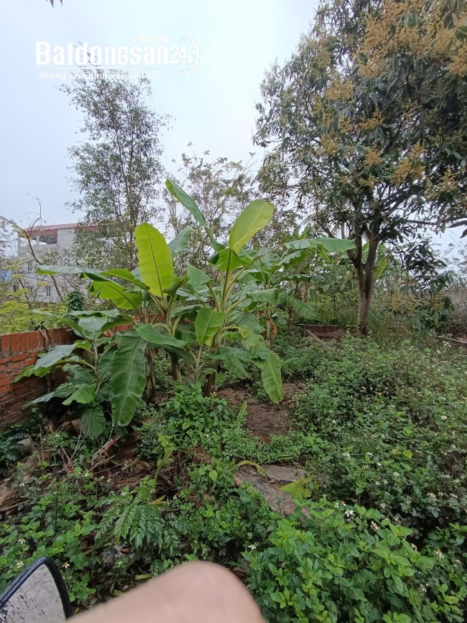 Bán đất Đường Dương Đức Hiền, Xã Kim Sơn, Huyện Gia Lâm